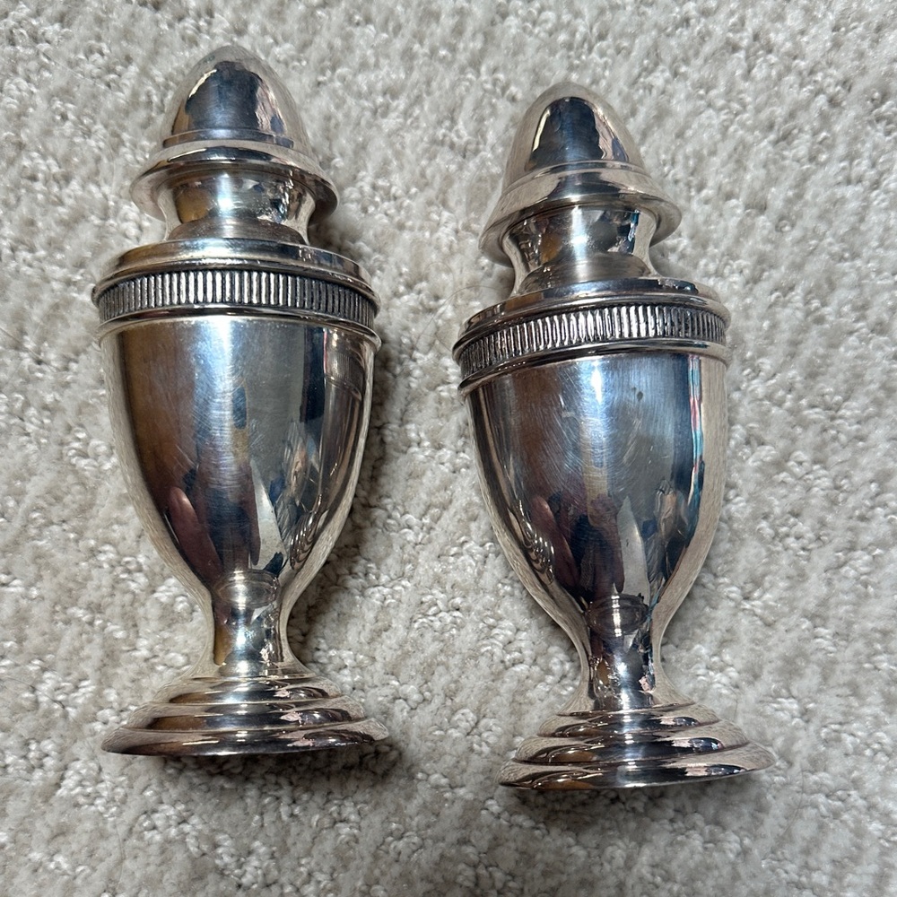 Elegant Silver Salt and Pepper Shakers